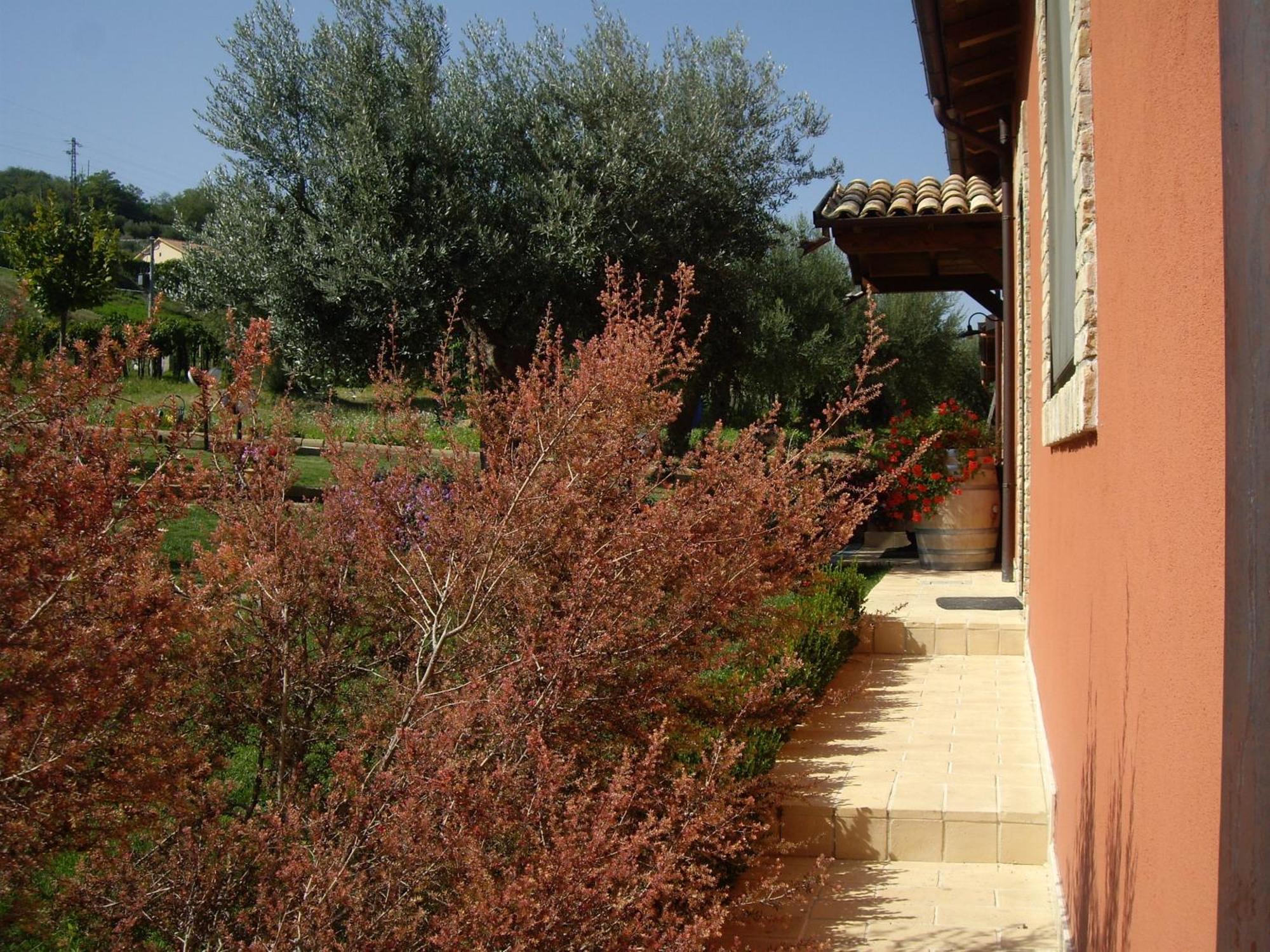 Agriturismo Il Borgo Degli Ulivi Розето-дельї-Абруцці Екстер'єр фото