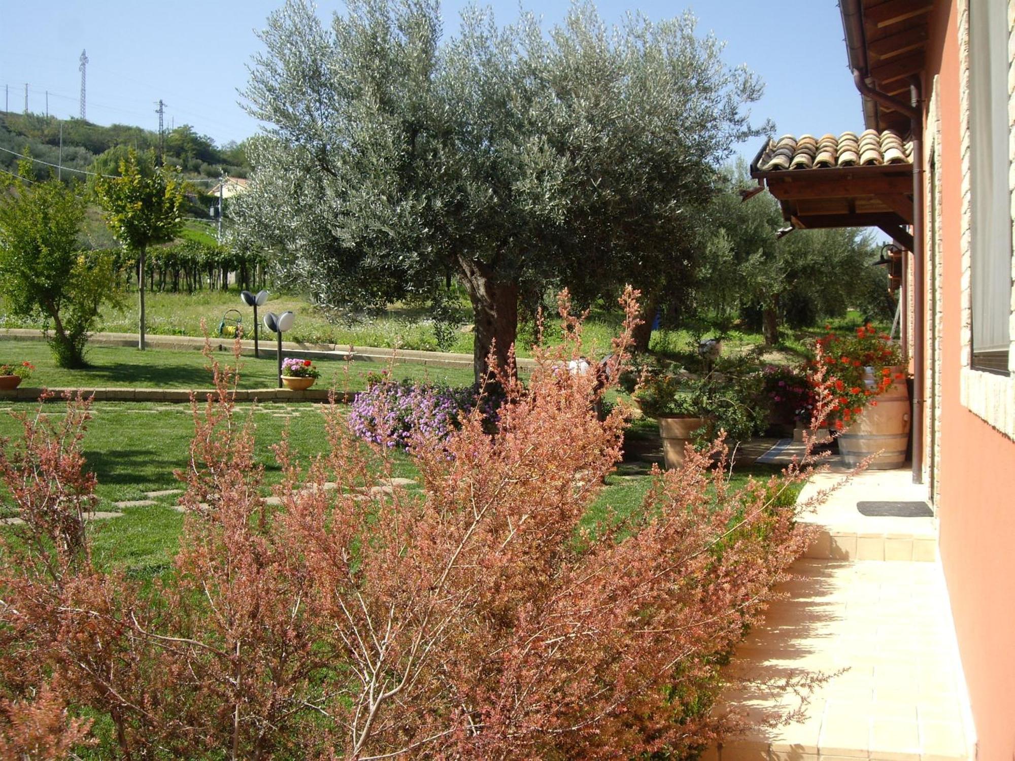 Agriturismo Il Borgo Degli Ulivi Розето-дельї-Абруцці Екстер'єр фото