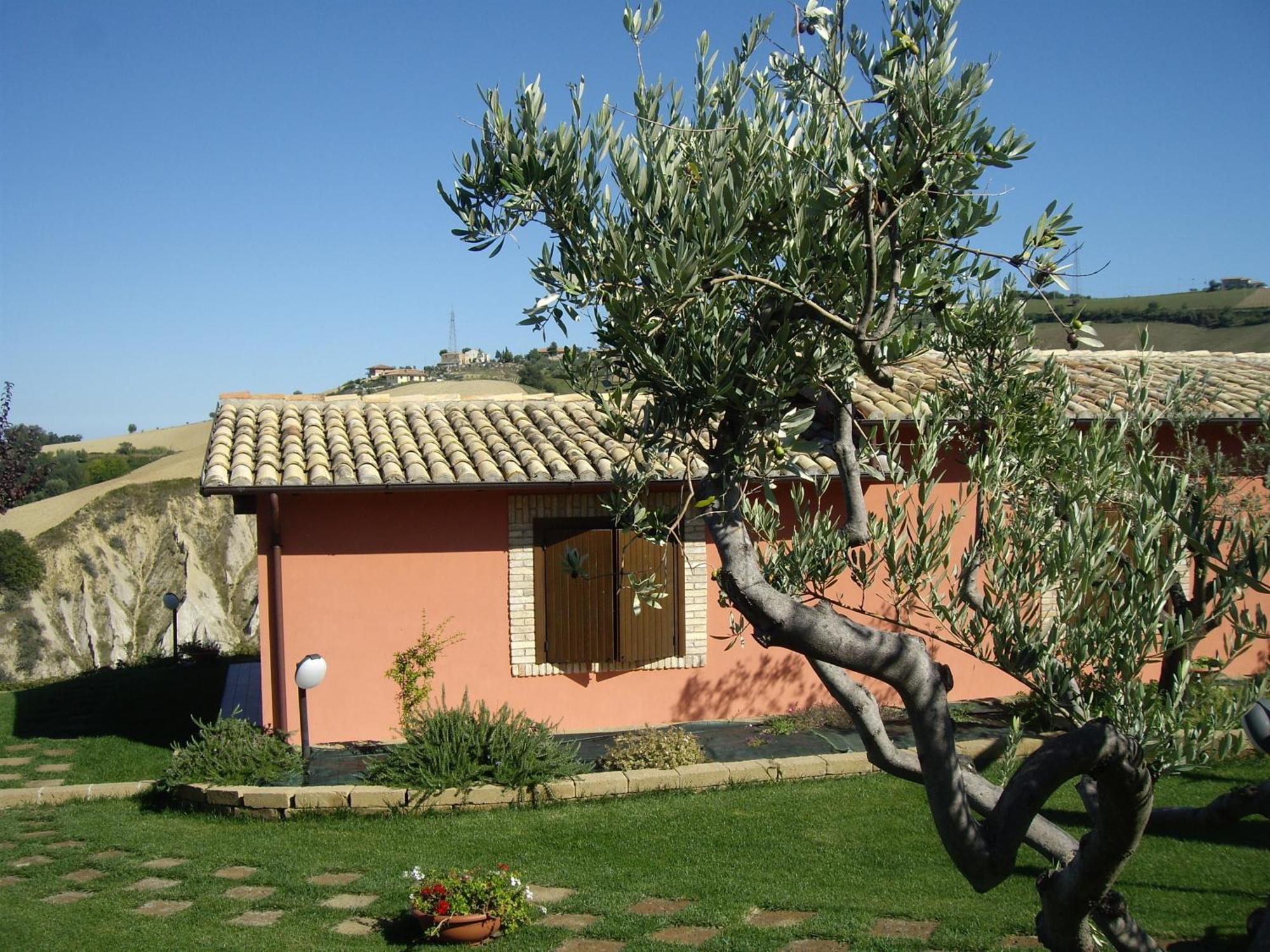 Agriturismo Il Borgo Degli Ulivi Розето-дельї-Абруцці Екстер'єр фото